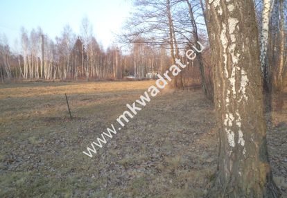 Działka budowlana! z lasem 1/3 pow. w m.stare budy