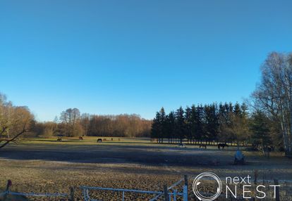 Rancho z domem, k/zalesia górnego,gm.piaseczno