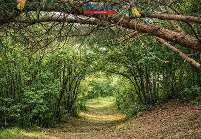 Działka budowlana i parkowo-leśna | ponad 3 ha