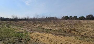 Działka 1500m² stare załubice | mpzp i usługi