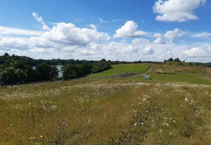 Działka na sprzedaż 3000m2