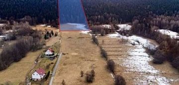 Duża działka 30 arów z 2 ha prywatnego lasu