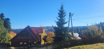 Inwestycyjnie - dom pod lasem/agroturystyka