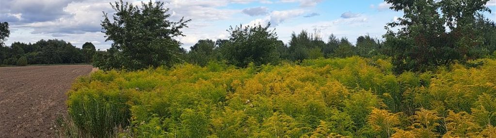 Działka na sprzedaż w ługach ujskich, gmina ujście