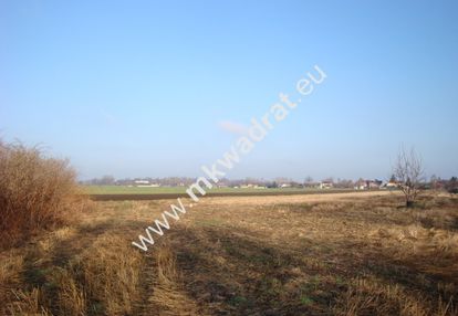 Działka chlebnia 3km od grodziska maz.