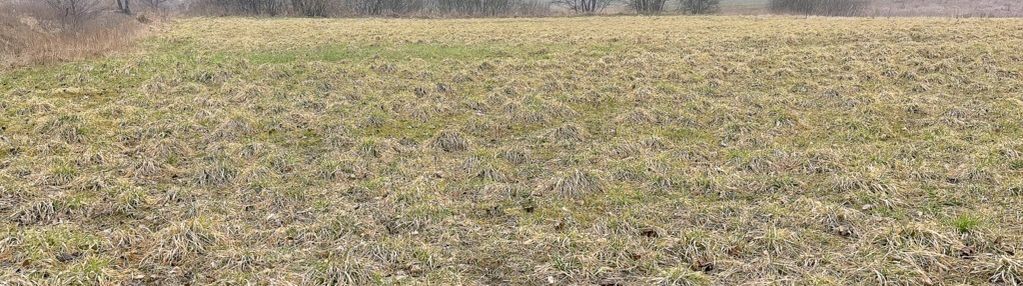 Sprzedam działkę - gady