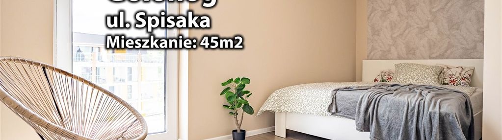 Mieszkanie do wynajęcia dąbrowa górnicza gołonóg