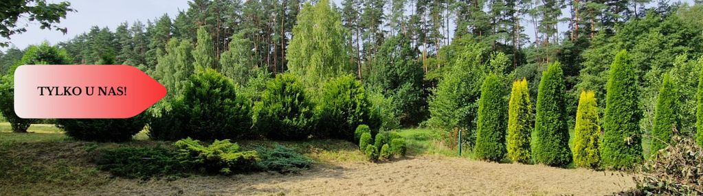 Wyjątkowa działka nad rzeką – dębnica kaszubska |