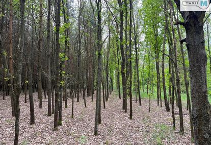 Działka leśna na sprzedaż - atrakcyjna cena