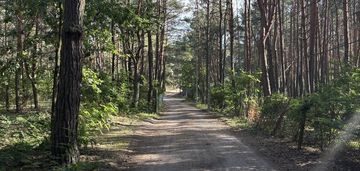 Działka budowlana w lesie, łosie koło radzymina