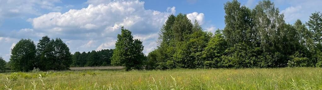 8808 m² pod zabudowę jednorodzinną i usługi.