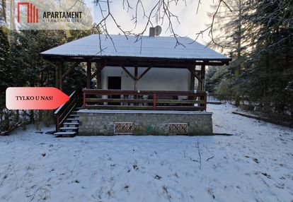 Dom w lesie z linią brzegową jeziora