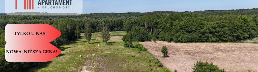 Działki w otoczeniu lasów! malerzów k. twardogóry!