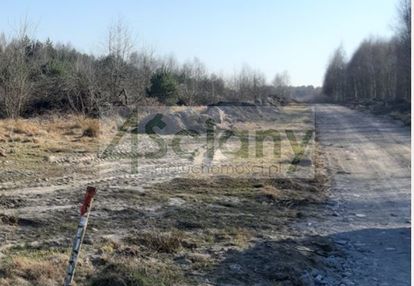 Cicho na działce w gminie puszcza mariańska