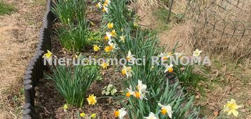 Działka budowlana 2414 m² z domkiem letniskowym –