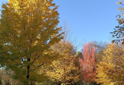 0 % prowizji, bez pcc, ostatnie 2 pok w tej cenie