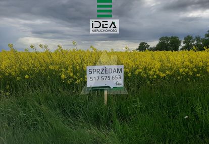 Działka budowlana o powierzchni 1641 mkw