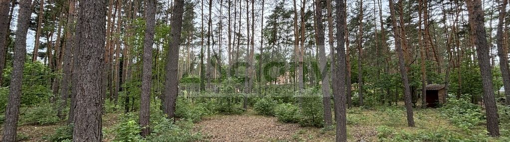 Atrakcyjna działka budowlana 1789 m² załubice