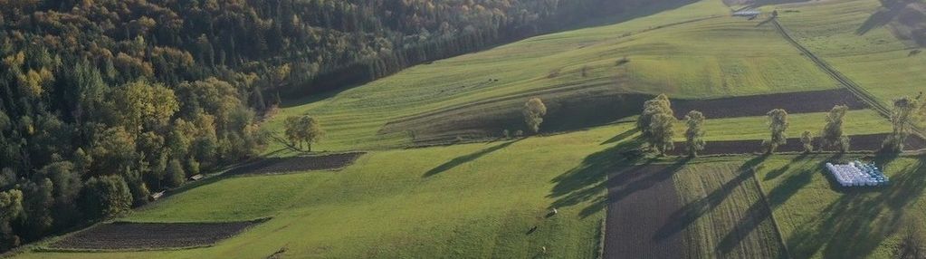 Działka budowlana widokowa 1201 m², falsztyn.