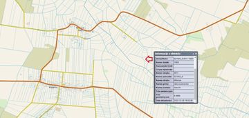 Działka 0.5ha otoczona laskiem w miłocicach