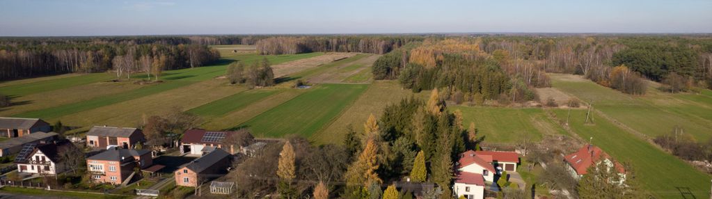 * 6km od bełchatowa * las na działce *