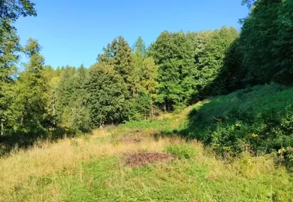 Działka na sprzedaż 4800m2