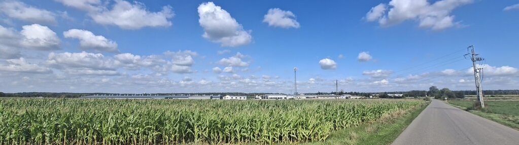 Działka inwestycyjna suchożebry (przy dk63)