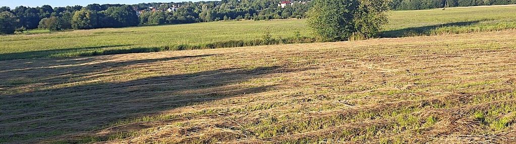 Działka budowlano rolna 1 km od granicy krakowa