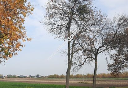 Działka przemysłowa w dobrej lokalizacji