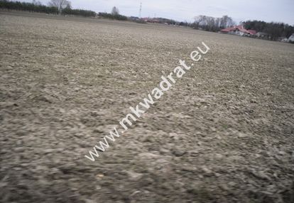 Pasikonie k.kampinosu ciekawa oferta mkwadrat.eu