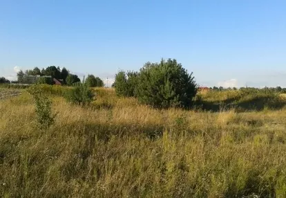 Działka na sprzedaż 7300m2