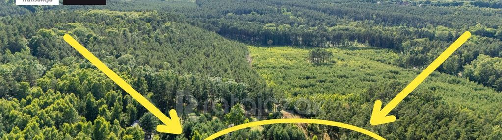 Działka budowlana | sasino | pod lasem | morze