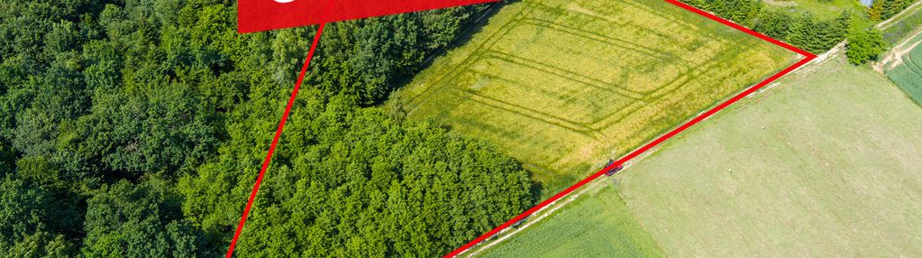 Na sprzedaż: działka 79 arów- domosławice