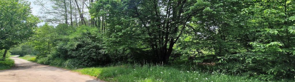 Sokolniki-las - działka budowlana o pow. 2000 m2