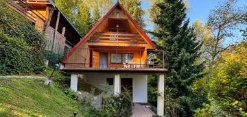 Drewniany dom z widokiem na dunajec
