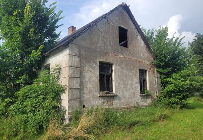 Siedlisko do własnej aranżacji