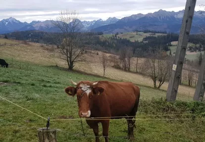 Działka na sprzedaż 2832m2