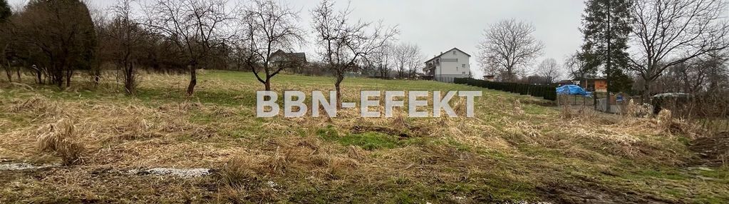 Żywiec-sporysz