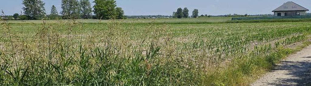 Okazja cenowa! działki leszno, ul. ogrodowa