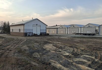 Kompleks budynków gospodarczych po pieczarkarni