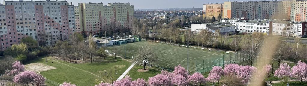Mieszkanie po remoncie na gaju