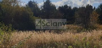 Inwestycyjnie w starym łajszczewie