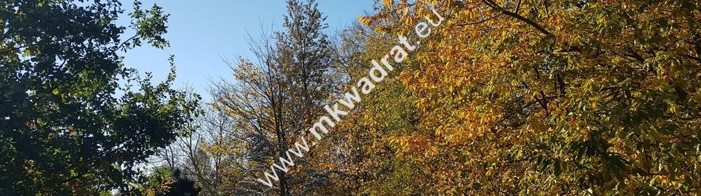 Działka budowlana z mediami miejskimi kajetany