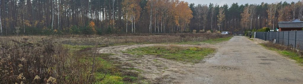 Teren pod lasem, osiedle domów, media