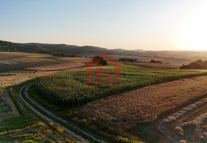 Działka na sprzedaż 26arow brzeziny, gmina wielopole skrzyńskie