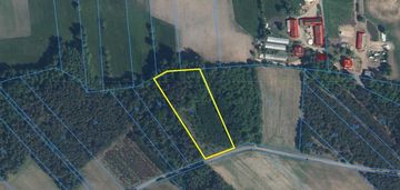 Super okazja - las w starym cydzynie w super cenie