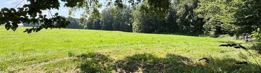 10 arowa działka otoczona lasem! dom/usługi!