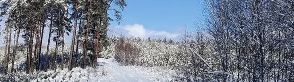 Działka na sprzedaż 3100m2