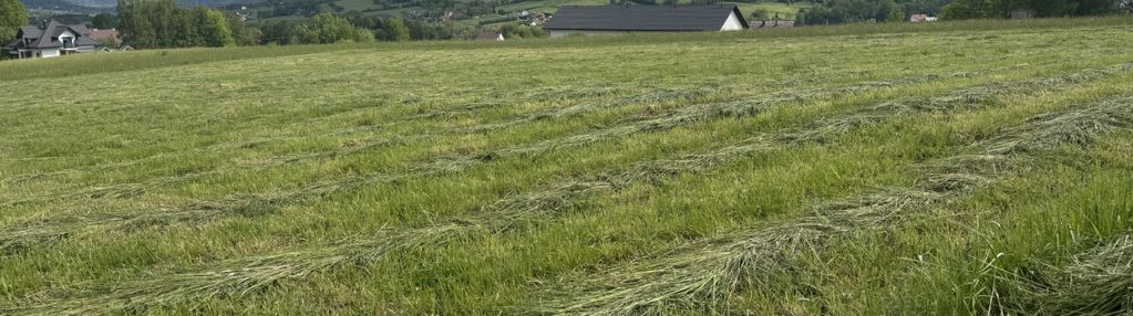 Działka usługowa | wojakowa | 20 arów