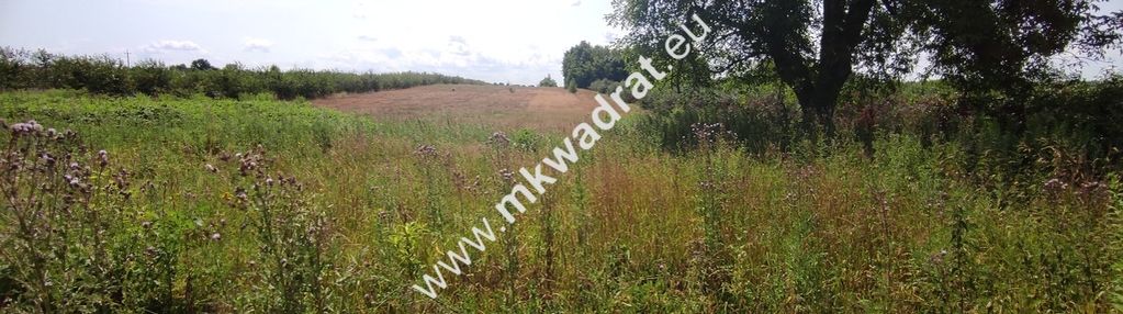 ⭐⭐⭐⭐ okazja działka 19000m2 z warunkami zabud!⭐⭐⭐⭐